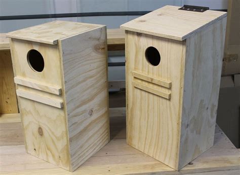 metal parrot nest box for sale|lorikeet nesting box plans.